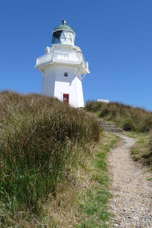 Nieuw-Zeeland 2011 - 1778